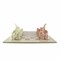 Hand Carved Soapstone Chess Set with 15 Inch Board Pink and White Stone